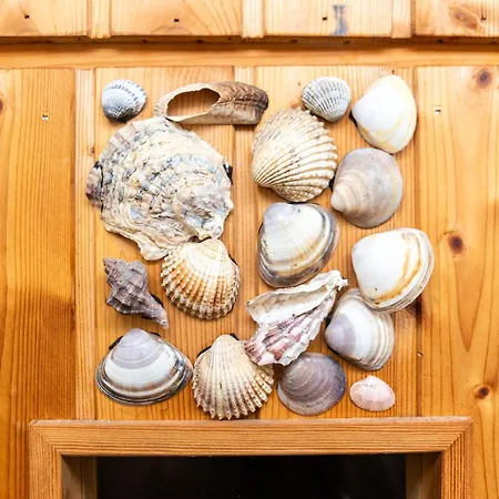 Ferienhaus Bigge Elements Am Biggesee